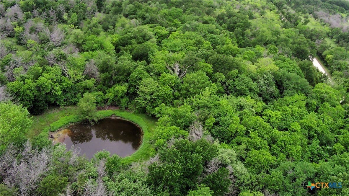 20.74 acres in Limestone County featured view