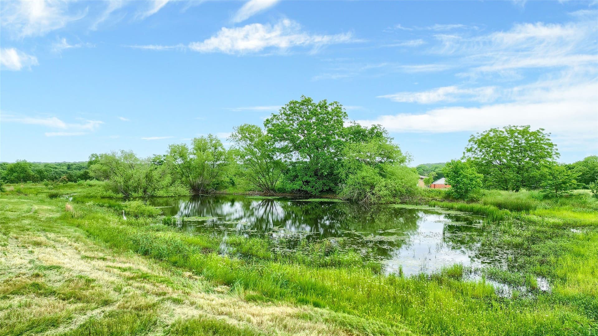 11.97 acres in Grayson County - photo 14