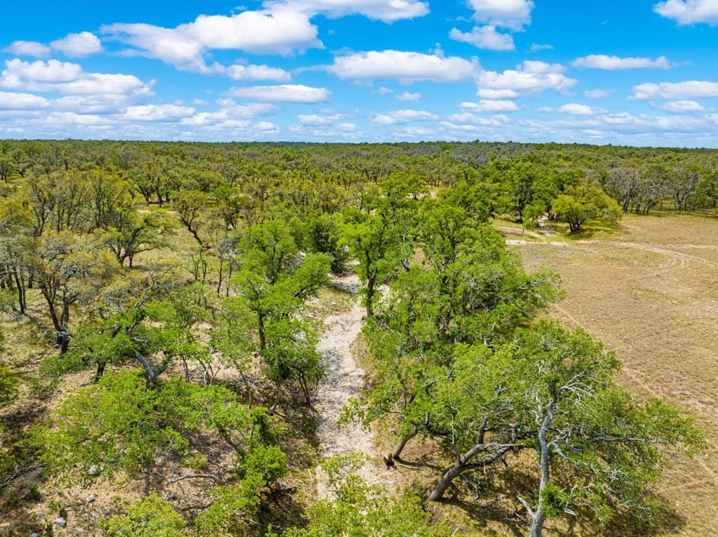 117.06 acres in Gillespie County gallery image 3