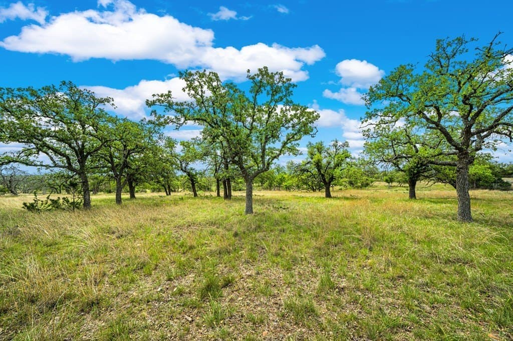 117.06 acres in Gillespie County - photo 21