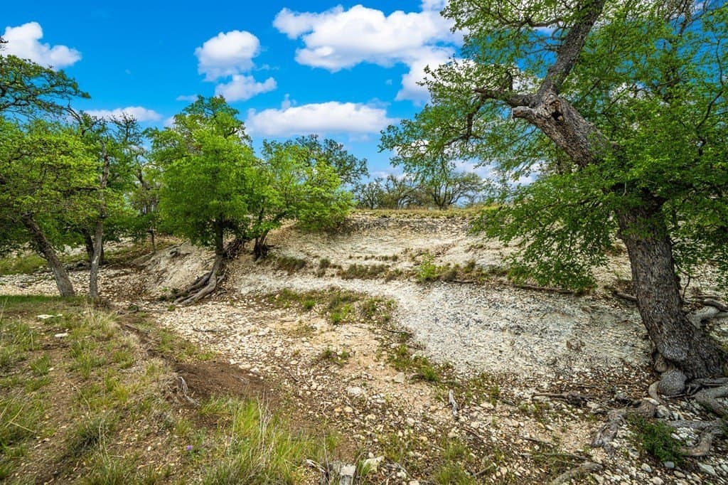 117.06 acres in Gillespie County - photo 6
