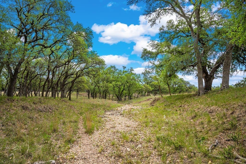 117.06 acres in Gillespie County - photo 27