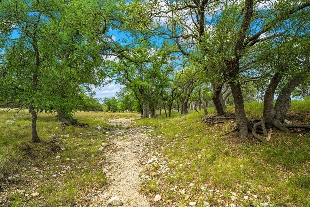 117.06 acres in Gillespie County - photo 28