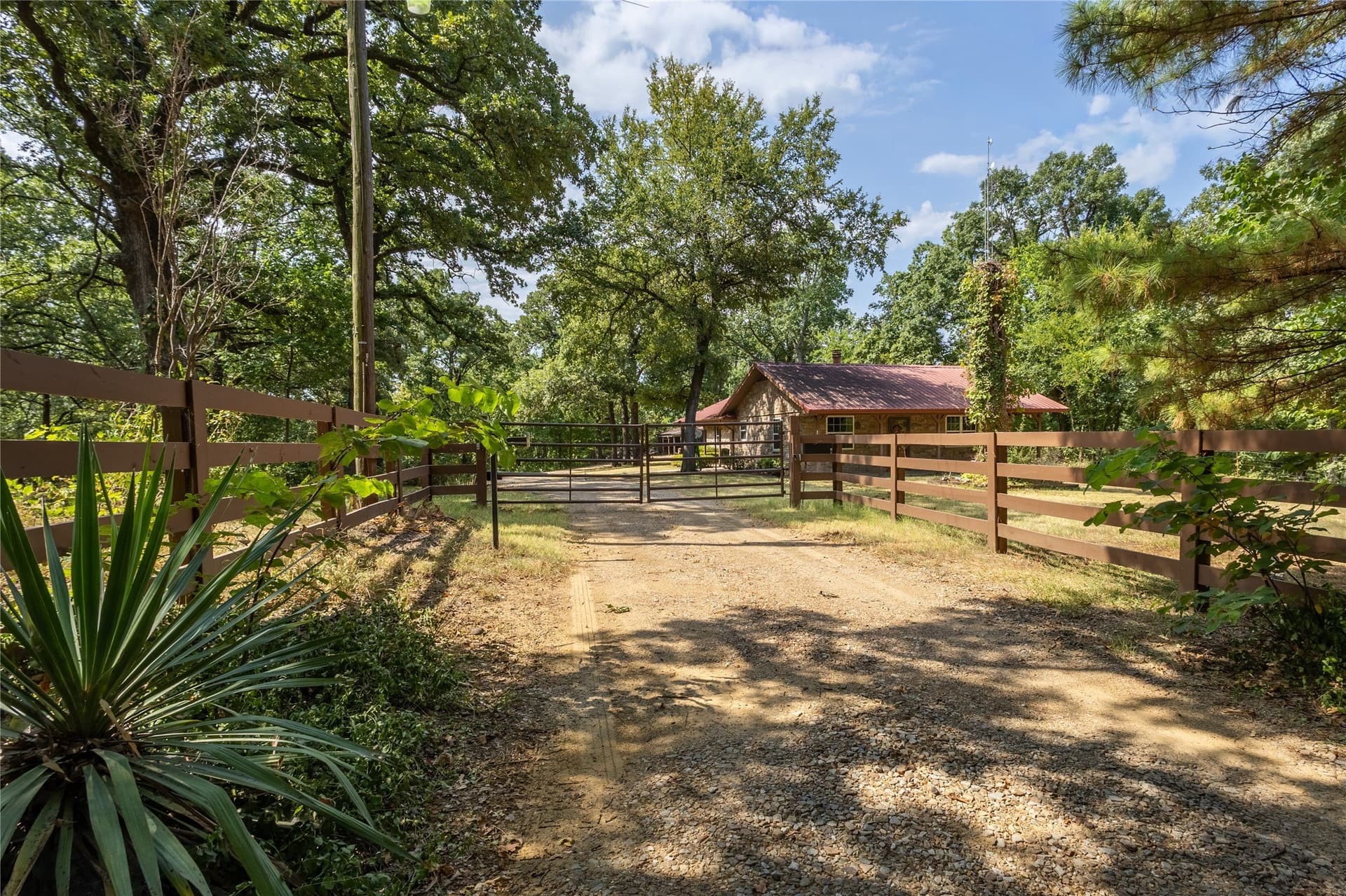 106 acres in Fannin County - photo 3