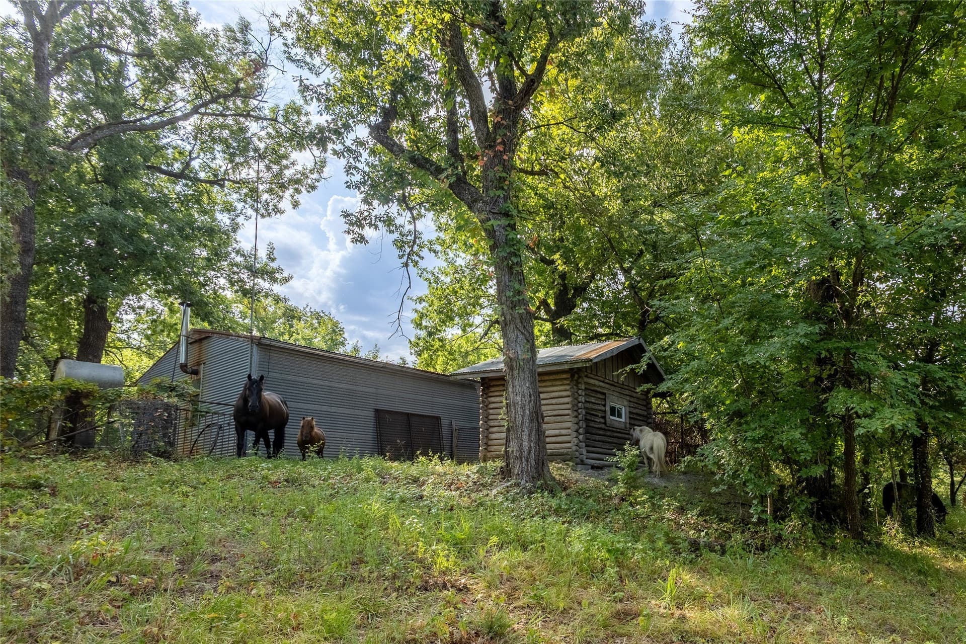 106 acres in Fannin County - photo 33