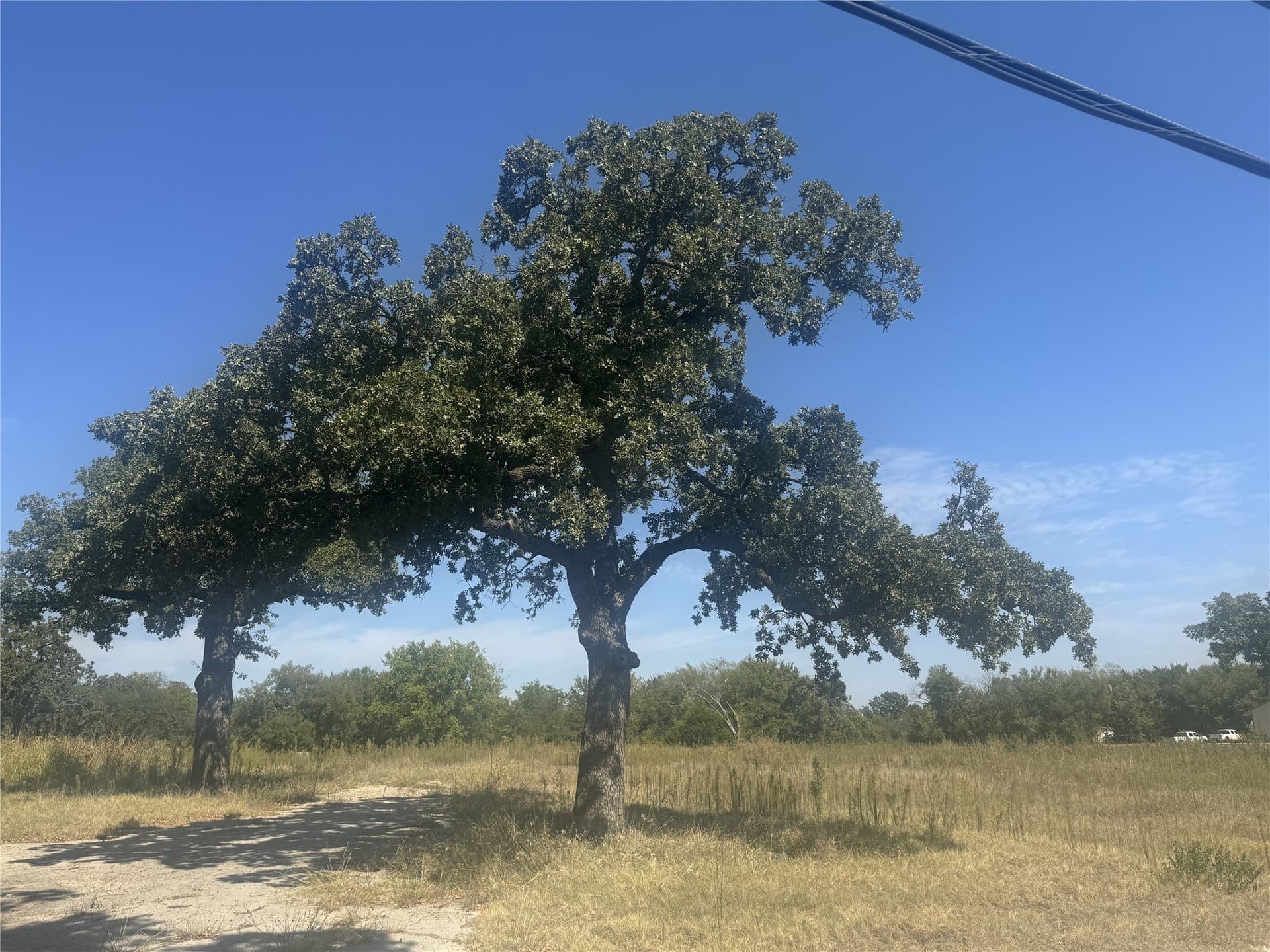 1.74 acres in Wise County featured view
