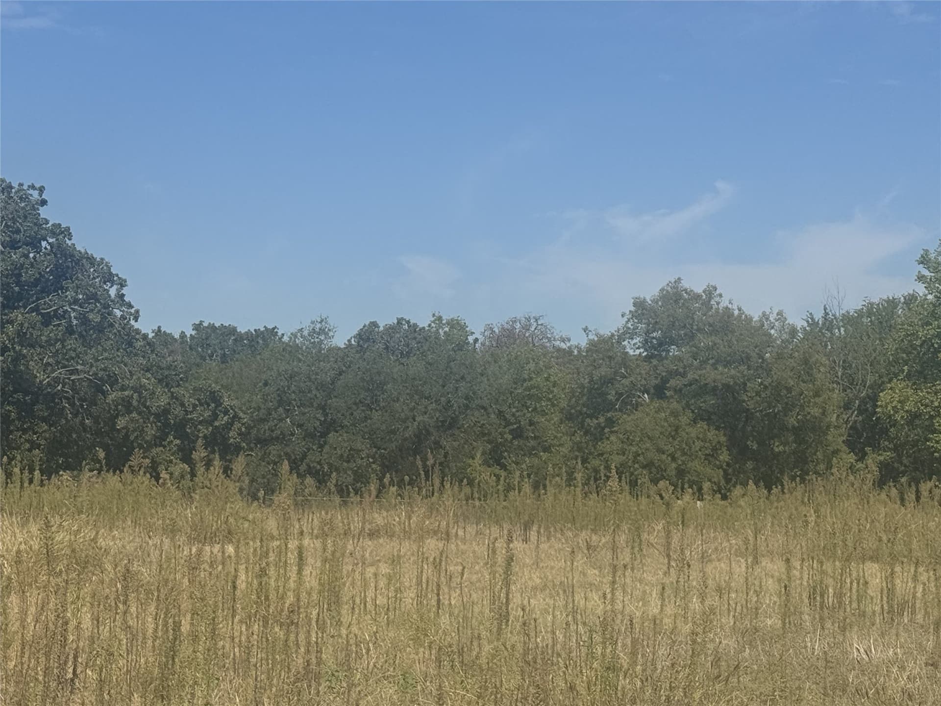 1.74 acres in Wise County gallery image 3