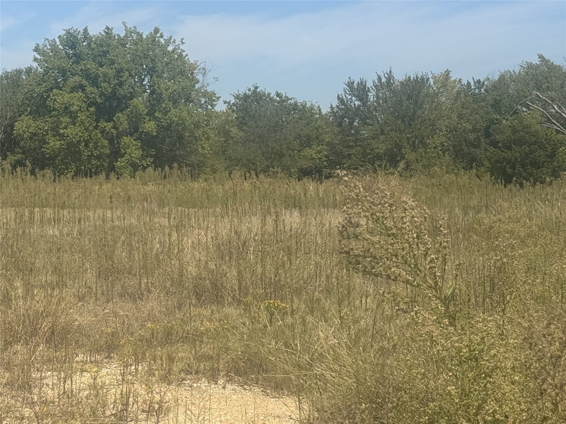 1.74 acres in Wise County gallery image 2