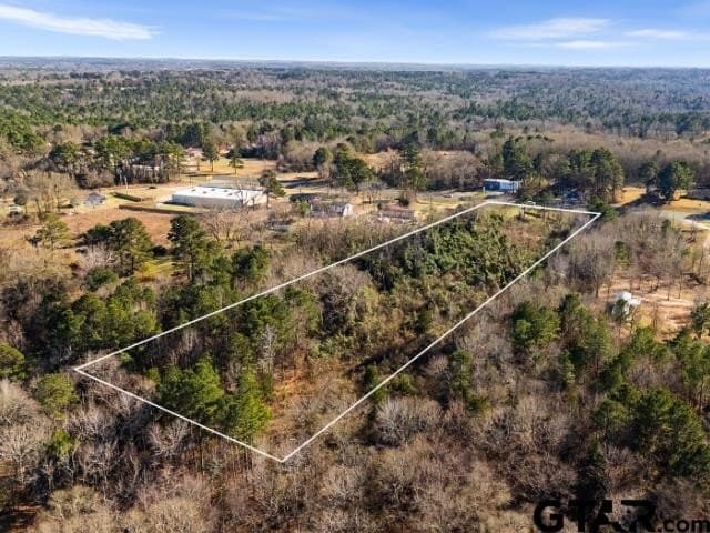 3 acres in Smith County gallery image 2