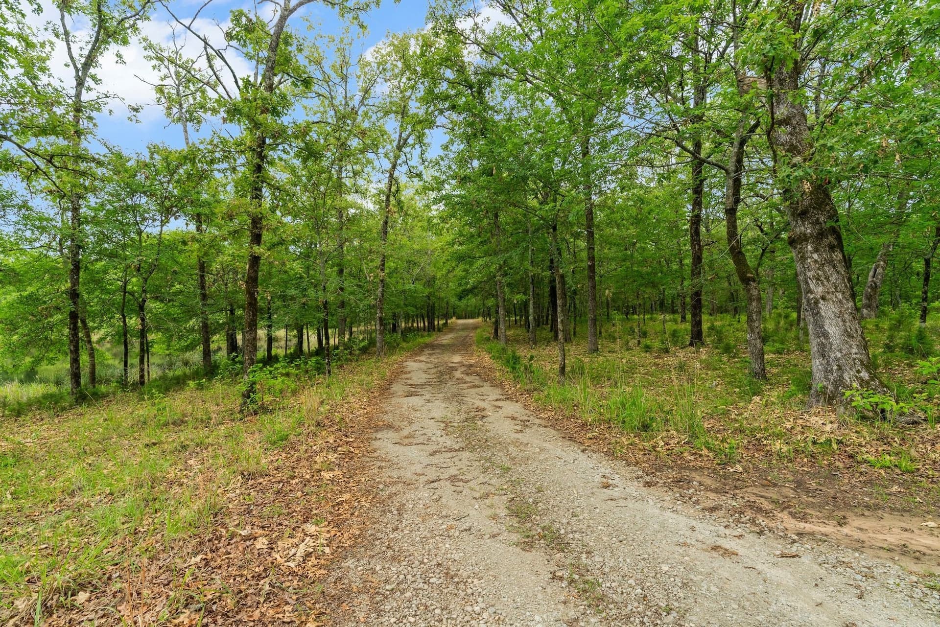 14 acres in Rains County - photo 36