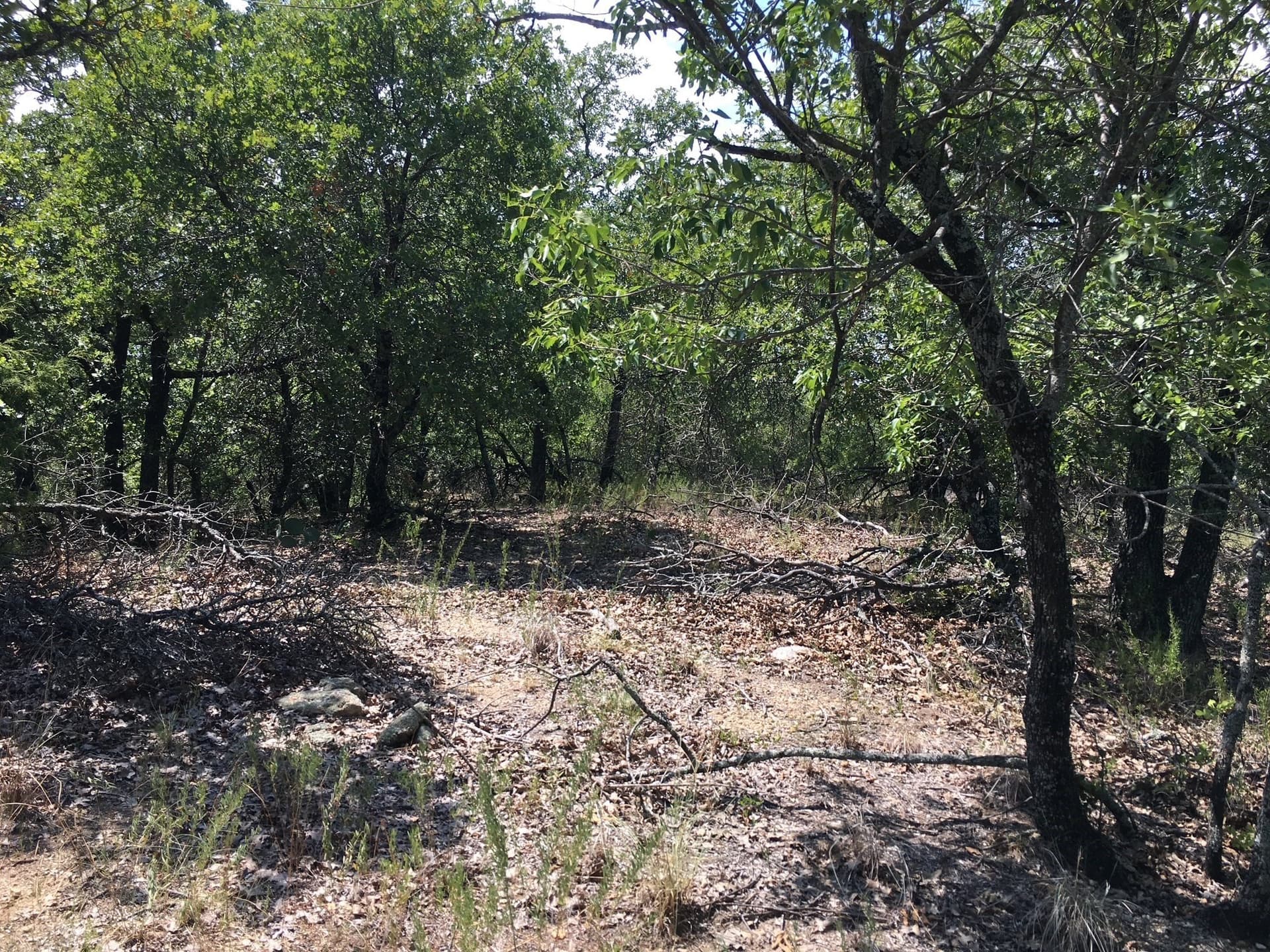 2.01 acres in Montague County gallery image 3