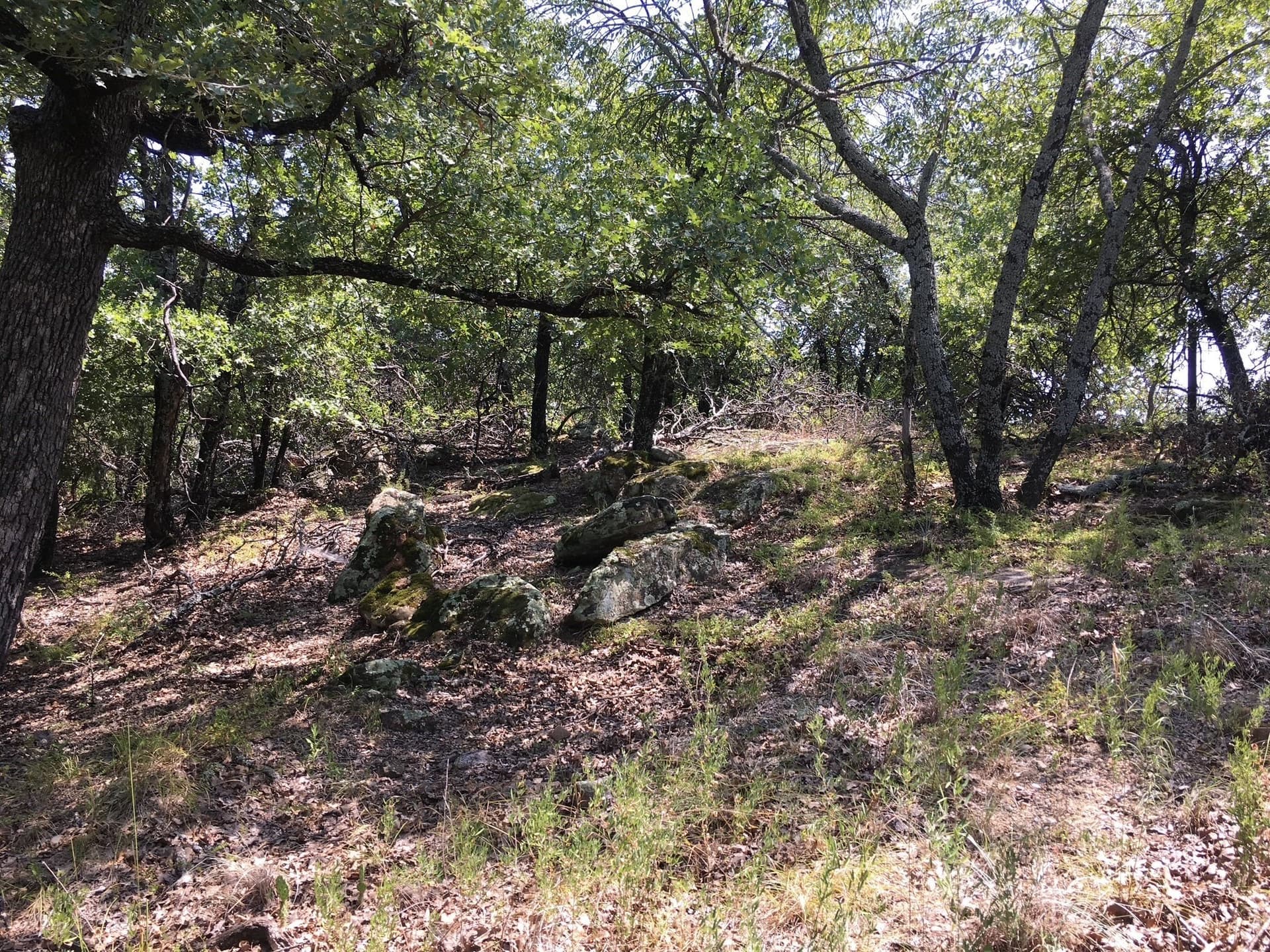 2.01 acres in Montague County gallery image 2