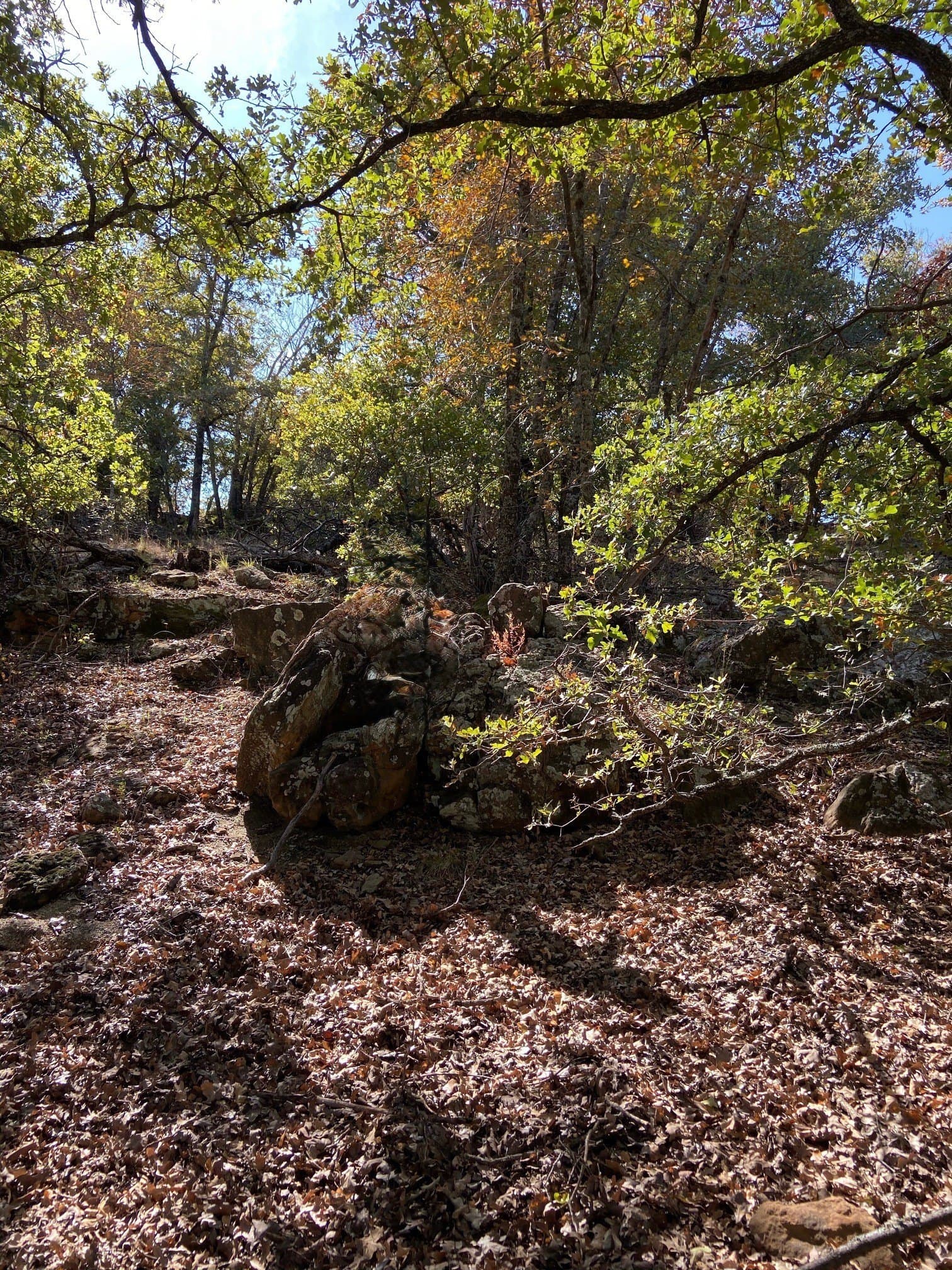 2.01 acres in Montague County gallery image 4