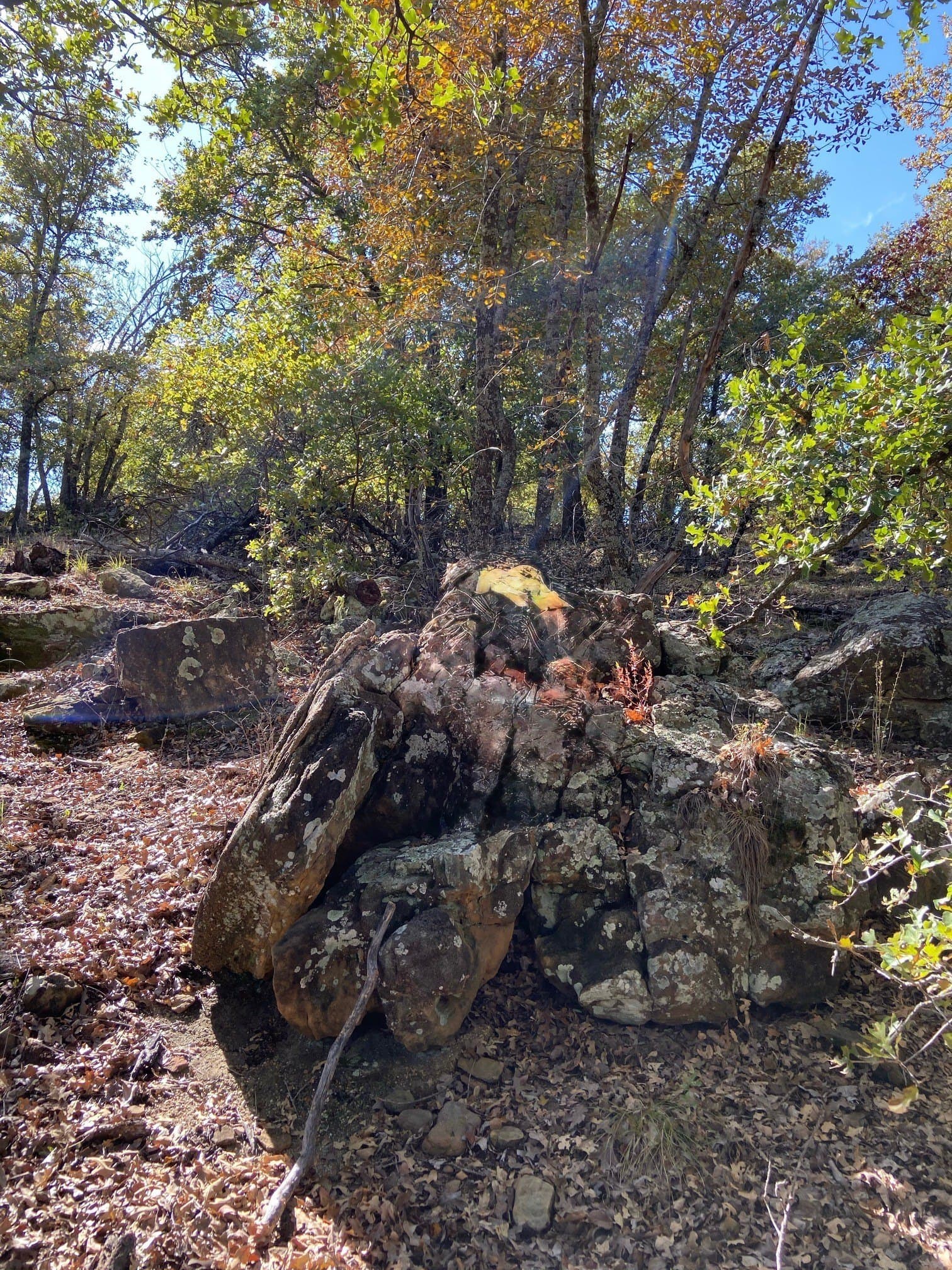 2.01 acres in Montague County featured view