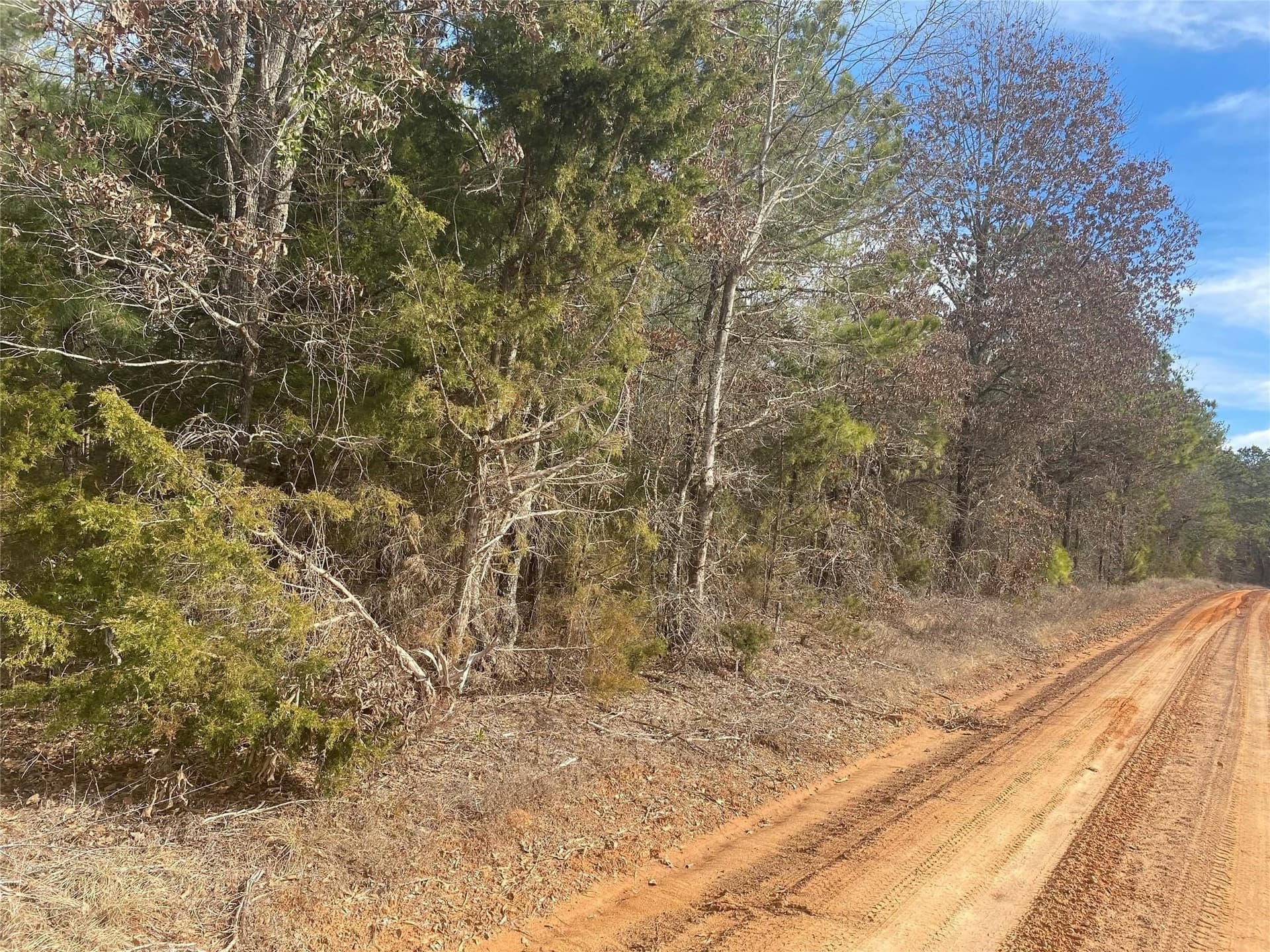 39.08 acres in Cass County - photo 6