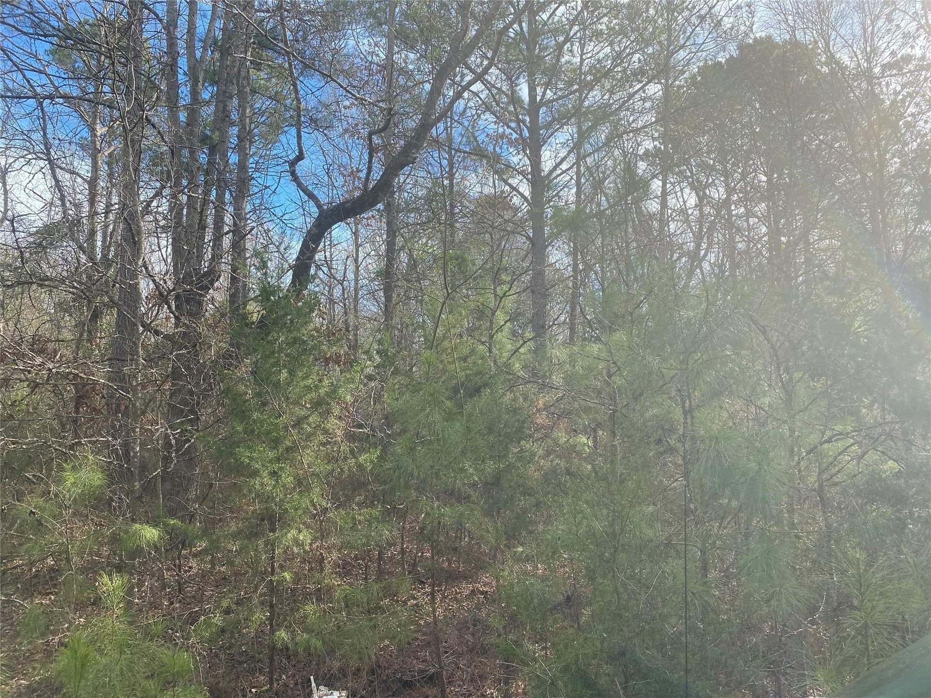 39.08 acres in Cass County - photo 4