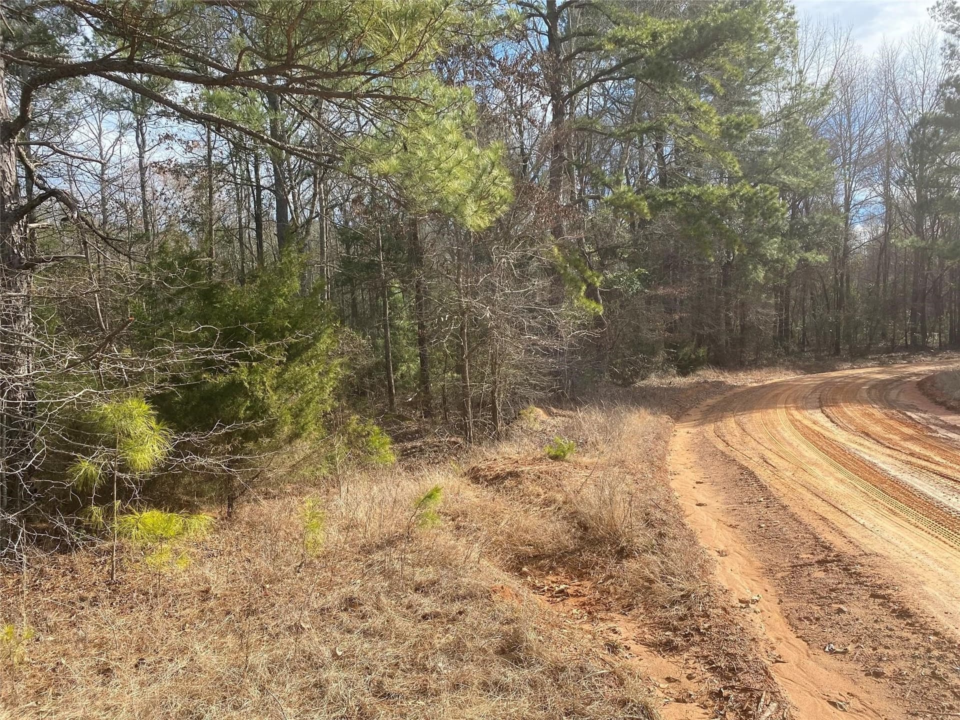 39.08 acres in Cass County