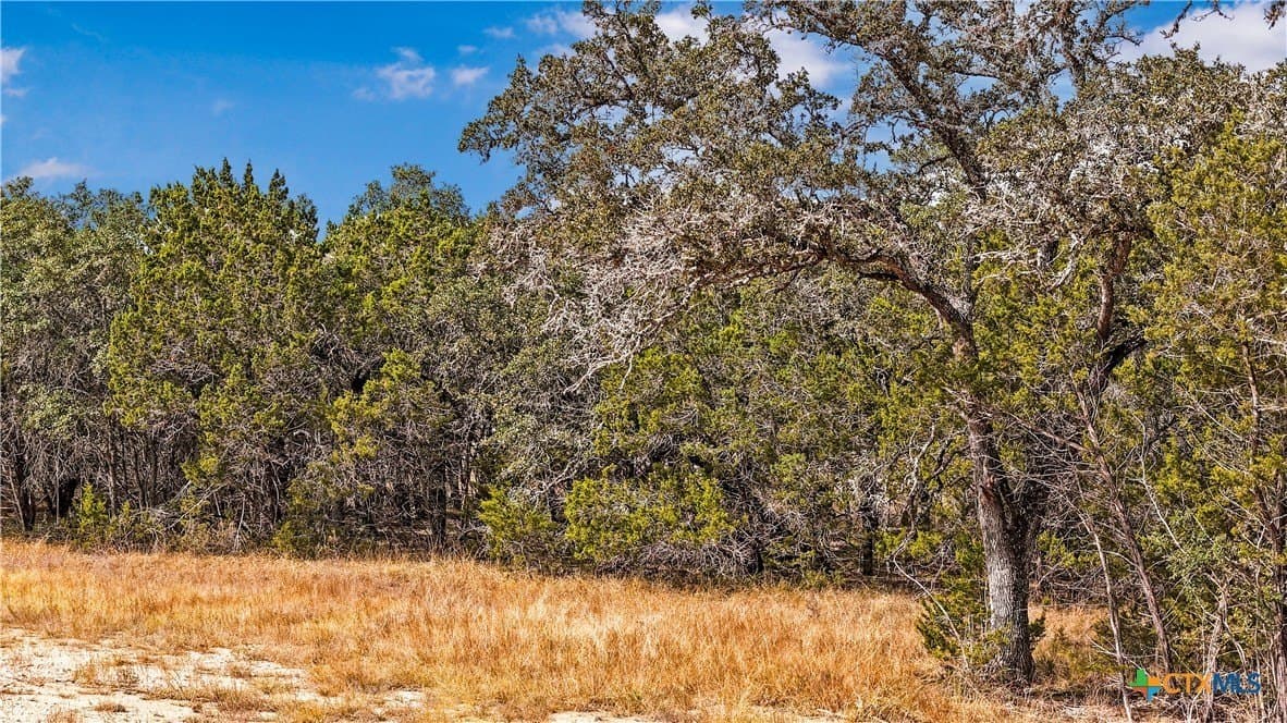 1.31 acres in Comal County gallery image 2