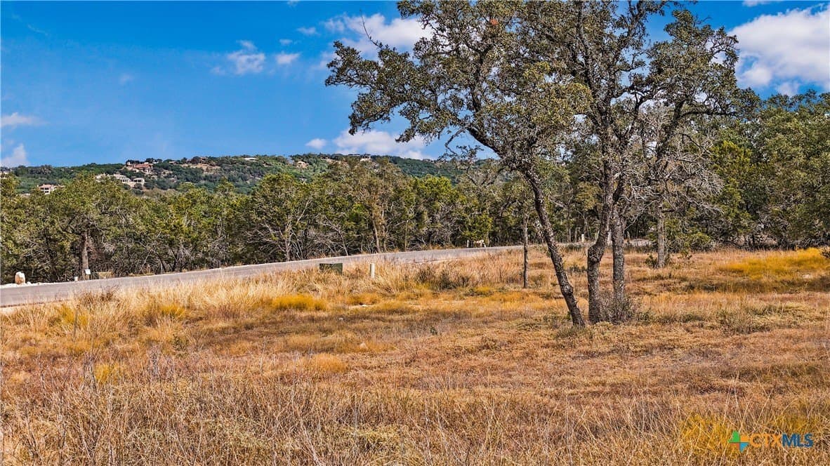 1.31 acres in Comal County gallery image 3