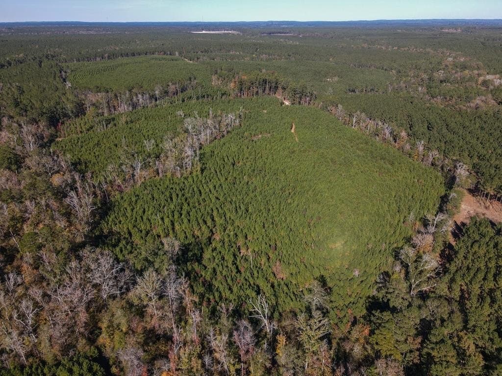 42.54 acres in Texas County