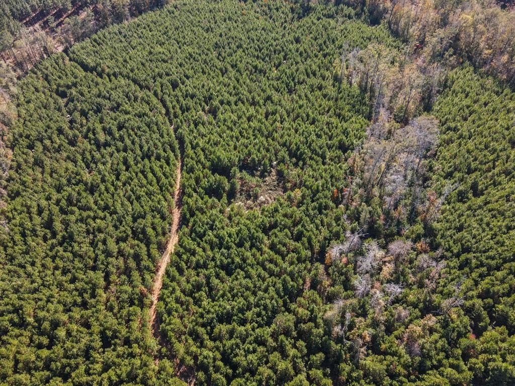 42.54 acres in Texas County gallery image 3