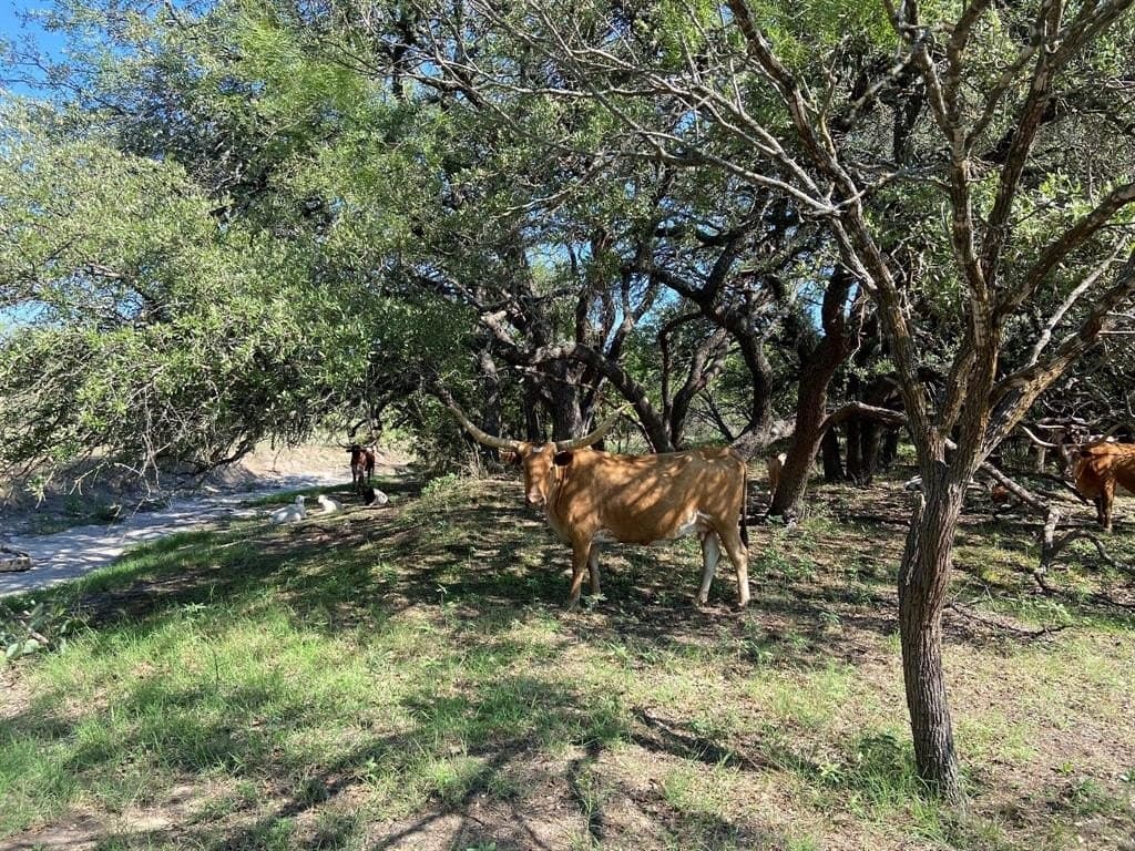 28 acres in Mills County gallery image 2