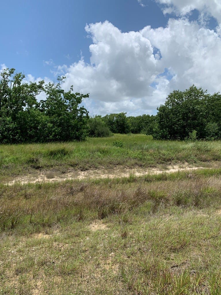 3 acres in Texas County featured view