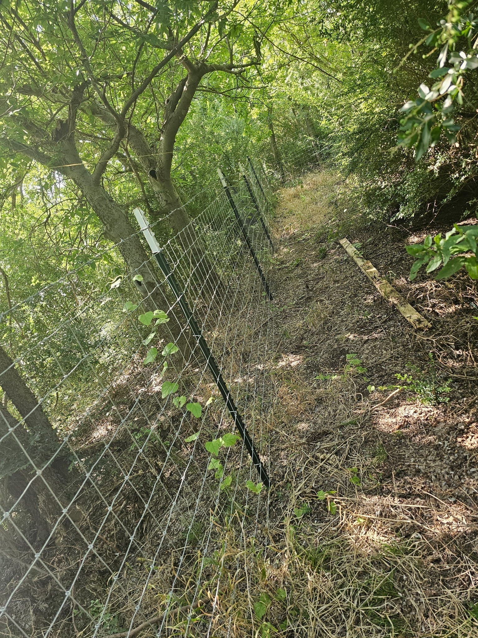 0.42 acres in Dallas County gallery image 2