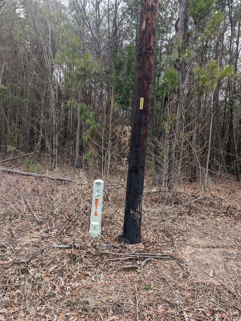 9.8 acres in Wood County gallery image 4