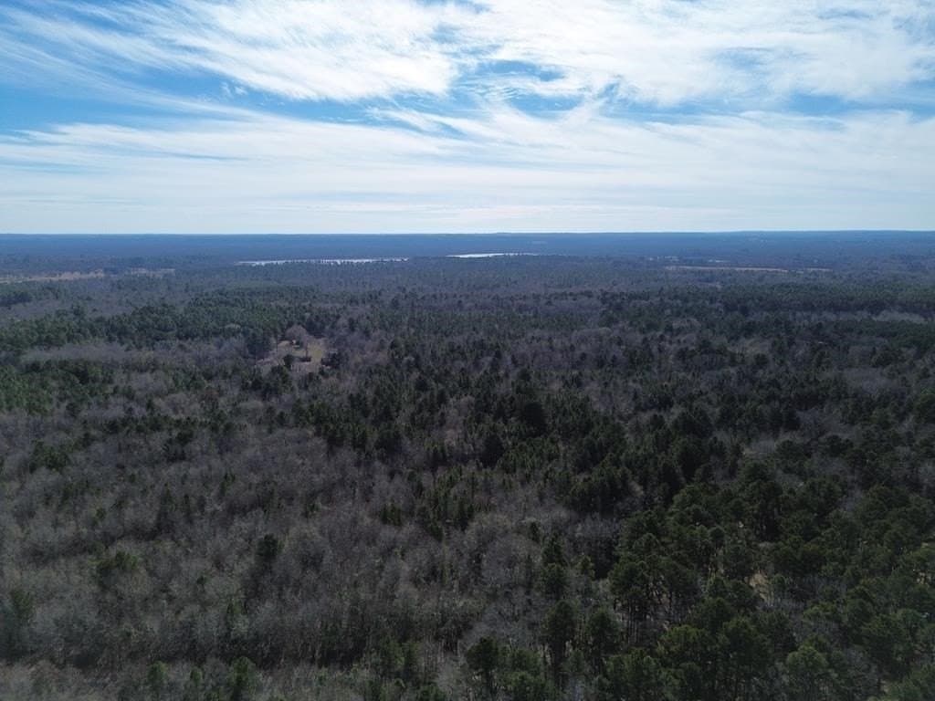 9.8 acres in Wood County featured view