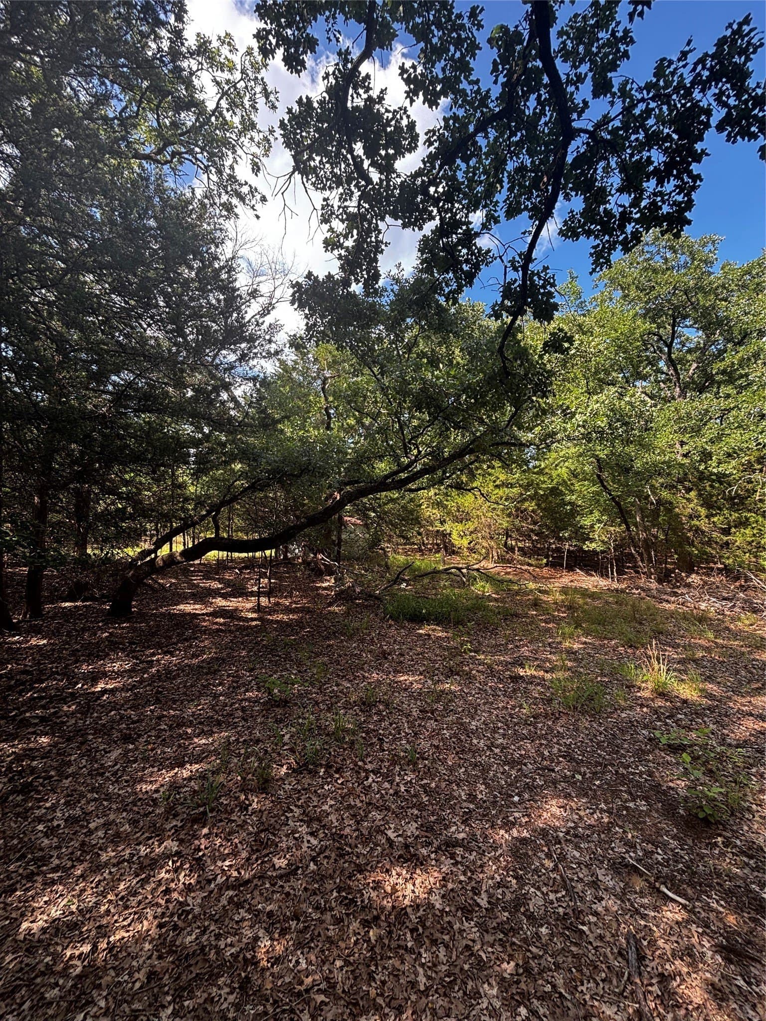 4.38 acres in Hunt County - photo 20