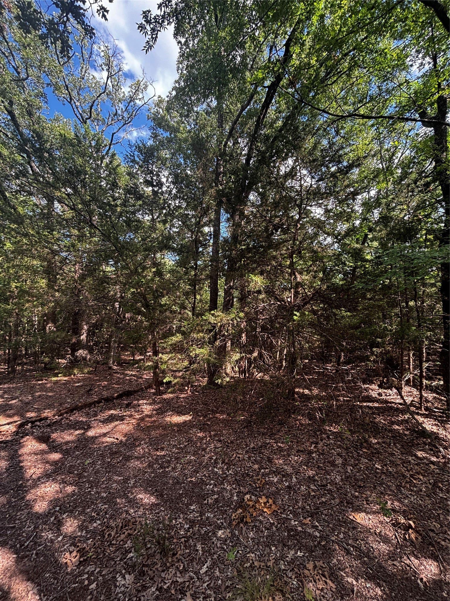 4.38 acres in Hunt County - photo 21
