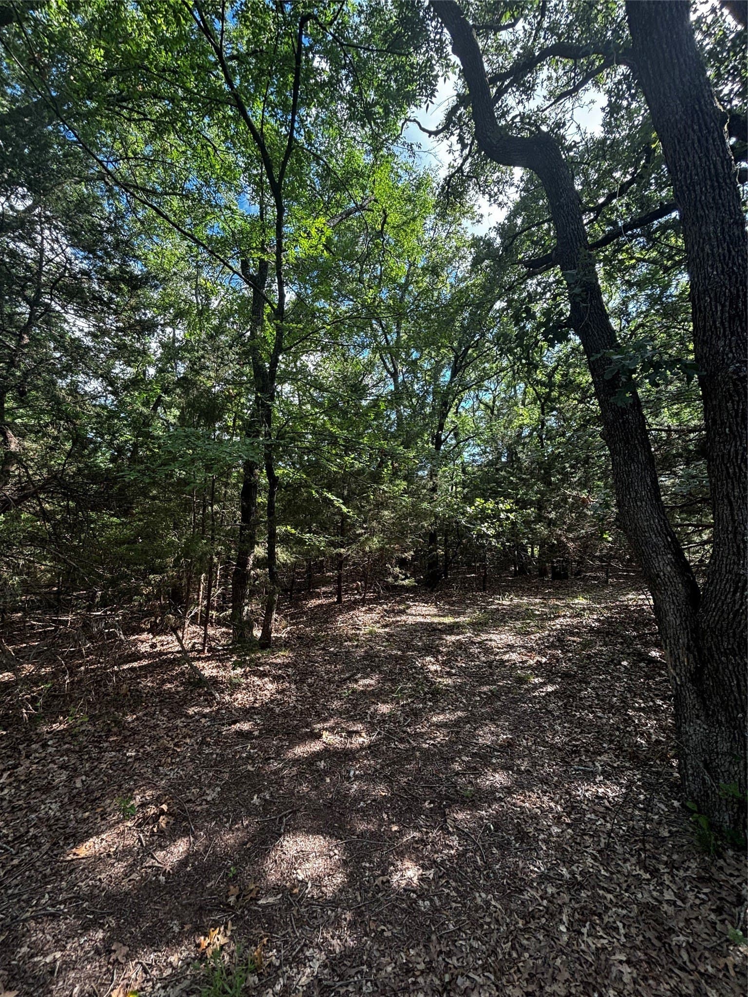 4.38 acres in Hunt County - photo 22