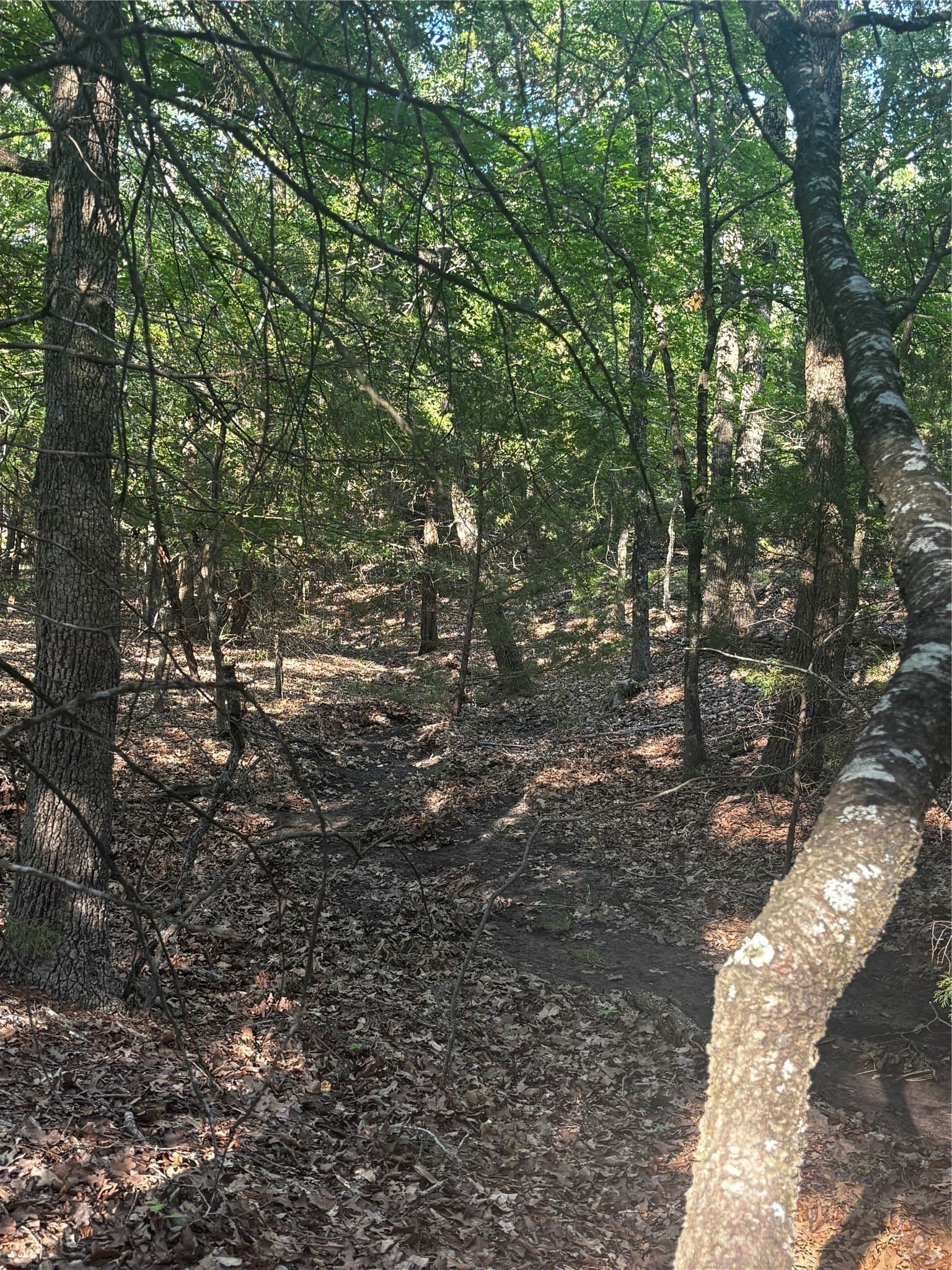 4.38 acres in Hunt County - photo 17