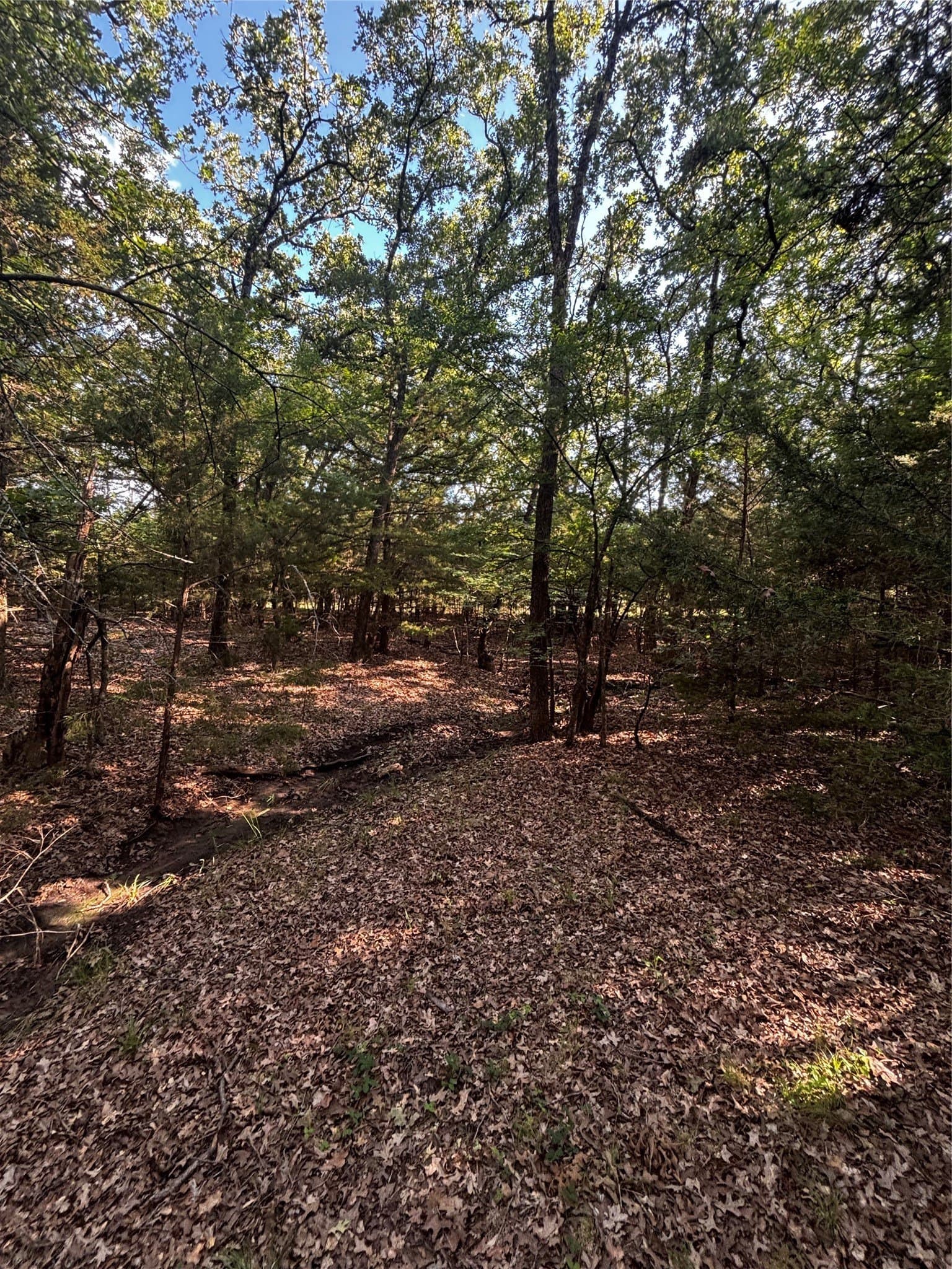 4.38 acres in Hunt County - photo 18