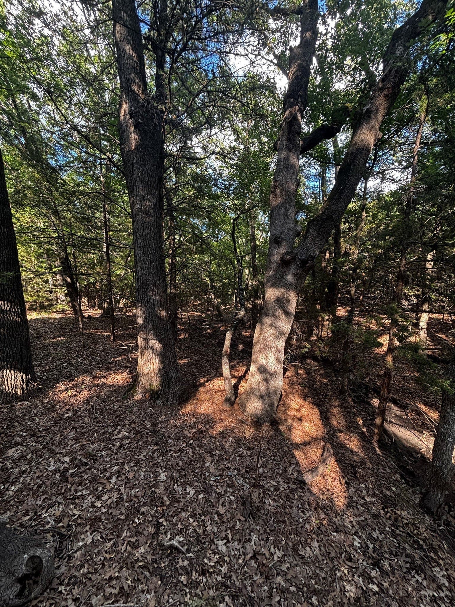 4.38 acres in Hunt County - photo 16
