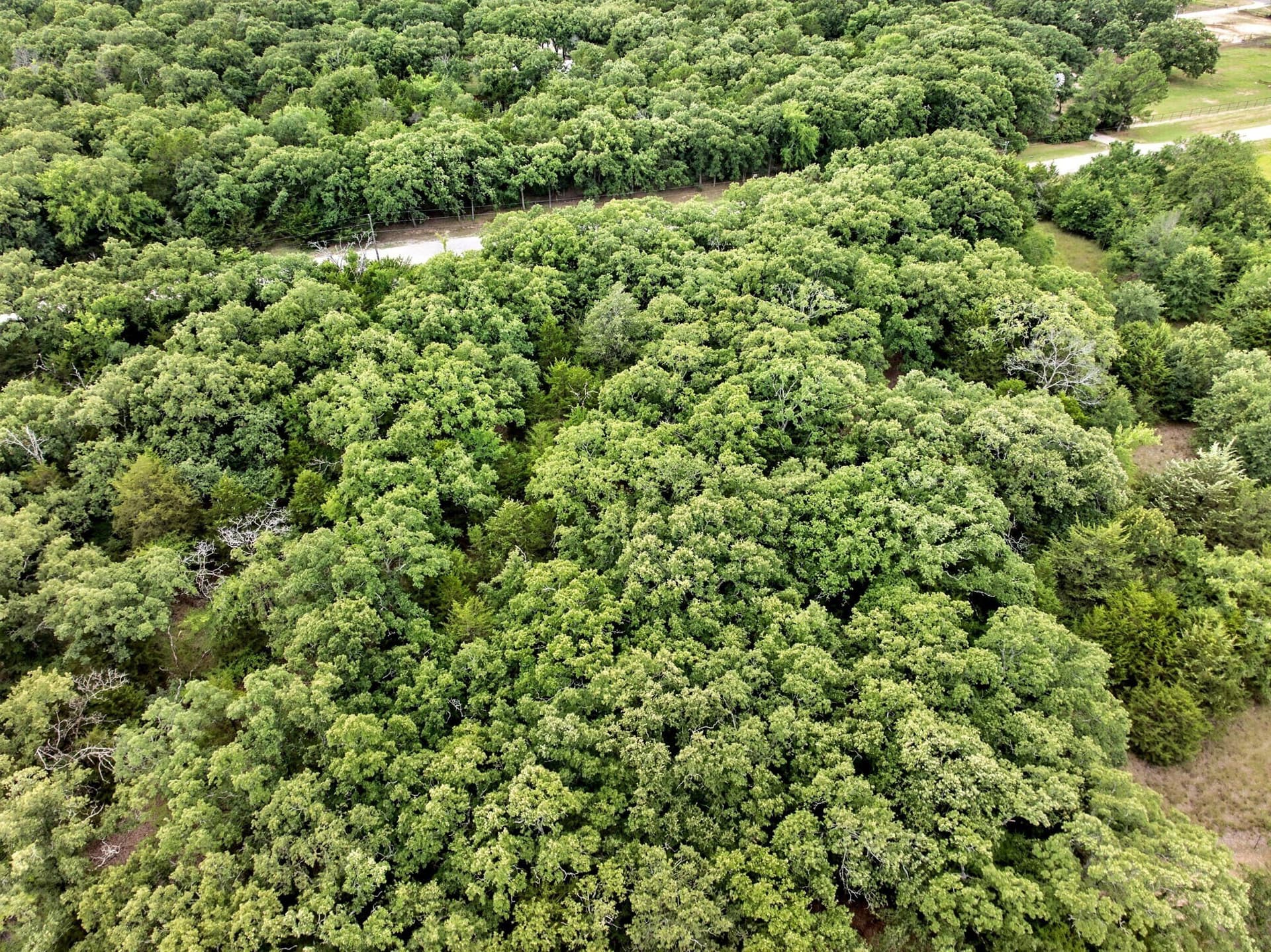 4.38 acres in Hunt County - photo 8