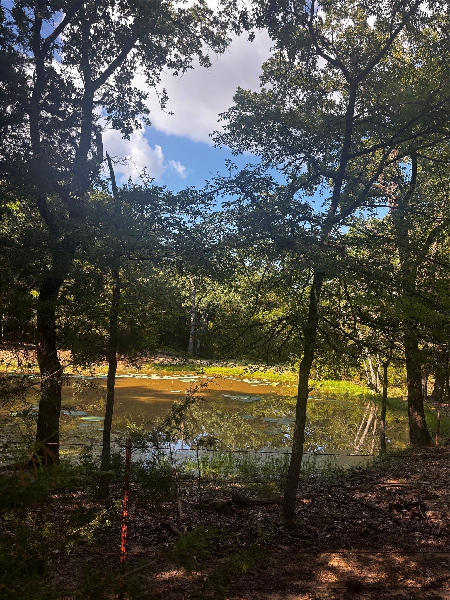4.38 acres in Hunt County - photo 19