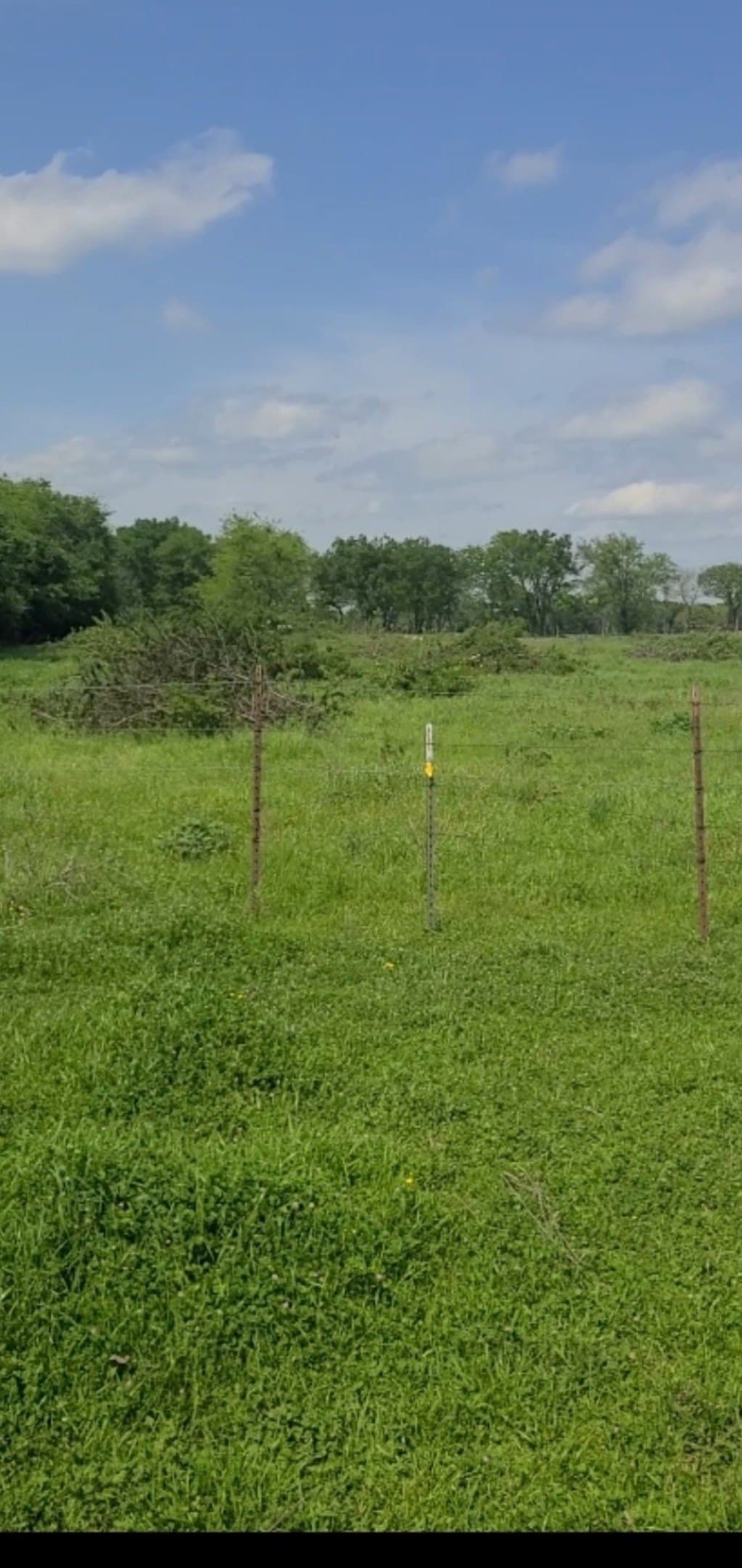 2 acres in Hunt County gallery image 3