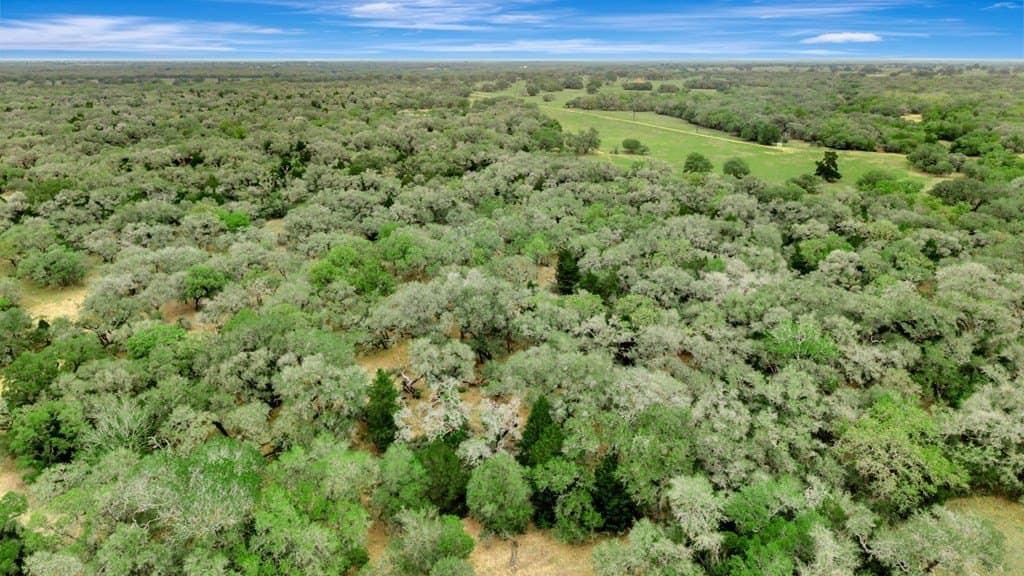 446.91 acres in Texas County - photo 46