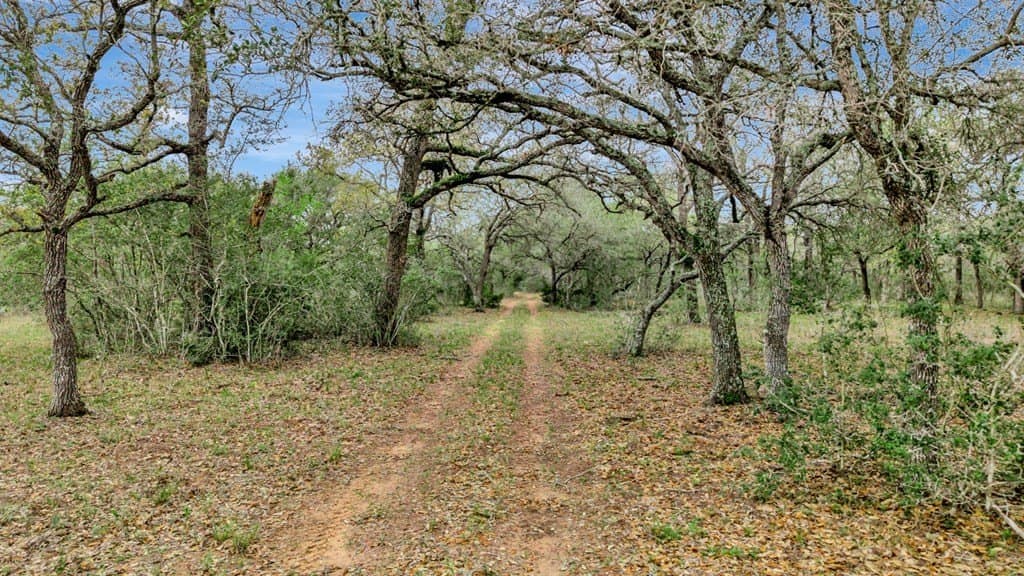 446.91 acres in Texas County - photo 34