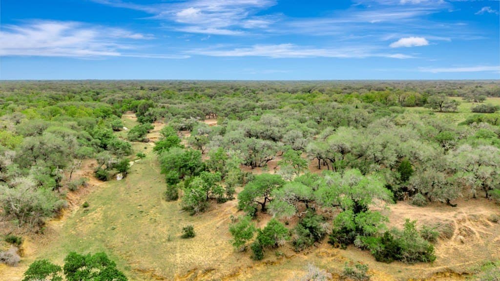 446.91 acres in Texas County - photo 51