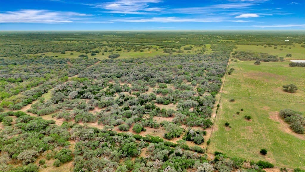 446.91 acres in Texas County - photo 6
