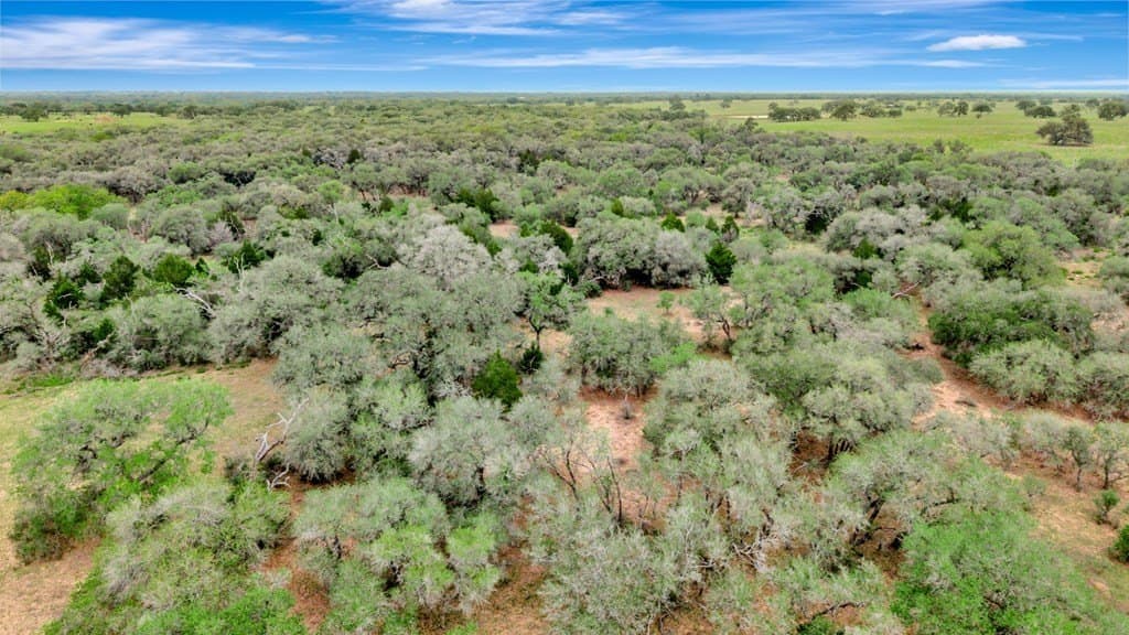 446.91 acres in Texas County - photo 8