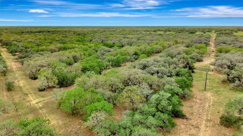 446.91 acres in Texas County - photo 7