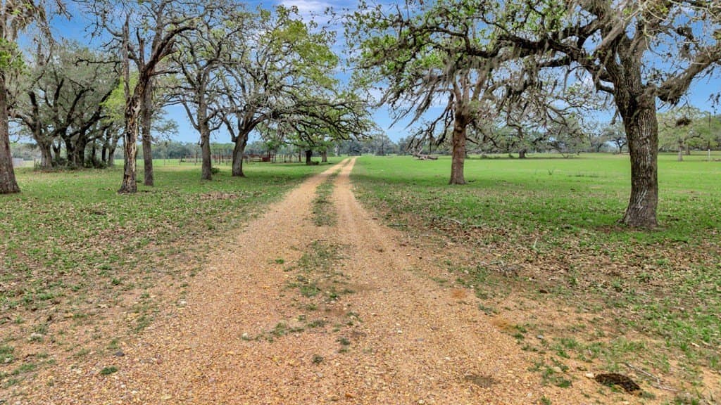 446.91 acres in Texas County - photo 24