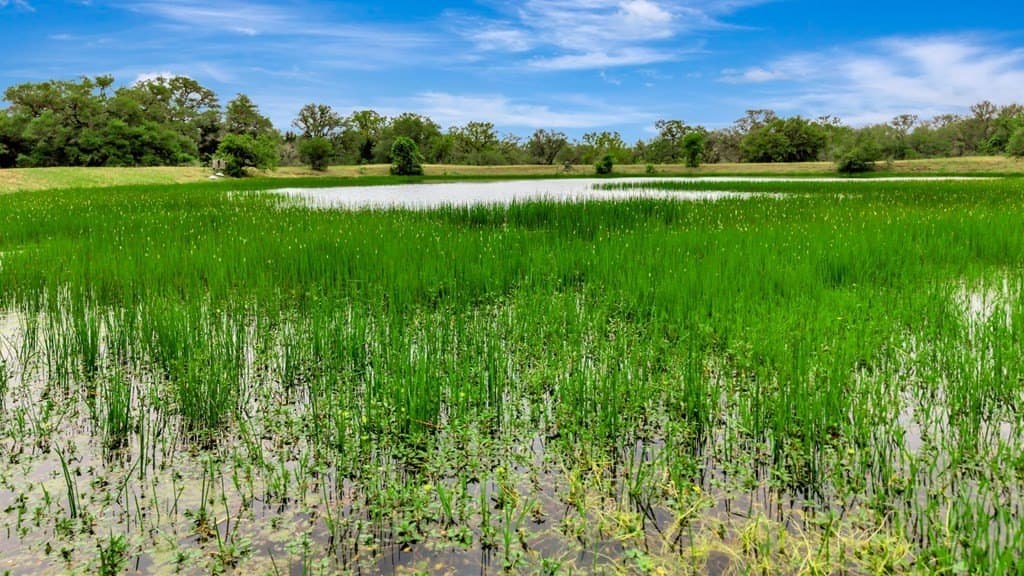 446.91 acres in Texas County - photo 53