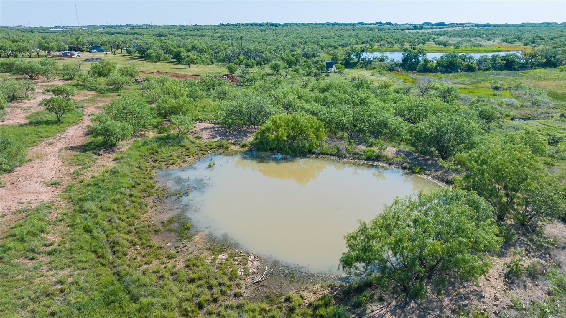 33 acres in Callahan County gallery image 3