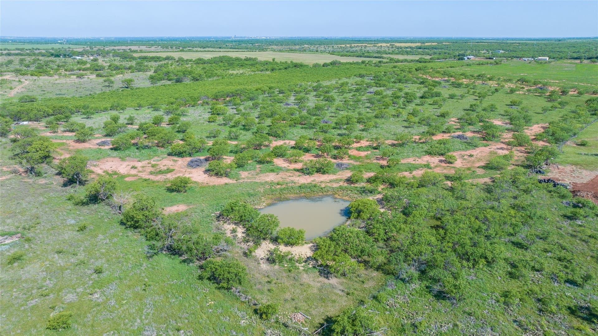 33 acres in Callahan County - photo 8