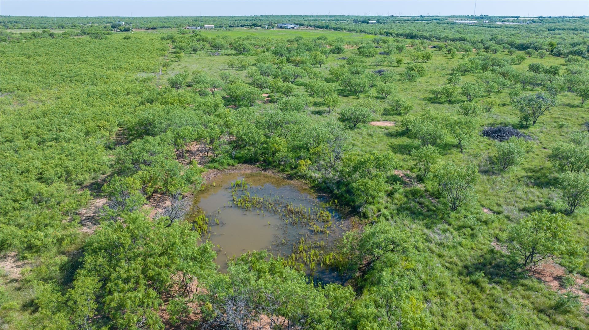 33 acres in Callahan County - photo 10